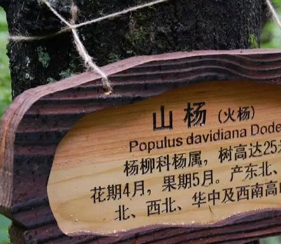 景区标识牌的样式都有哪些,旅游景区标识牌样式